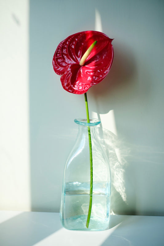 法國玻璃瓶La Soufflerie Vase Tête