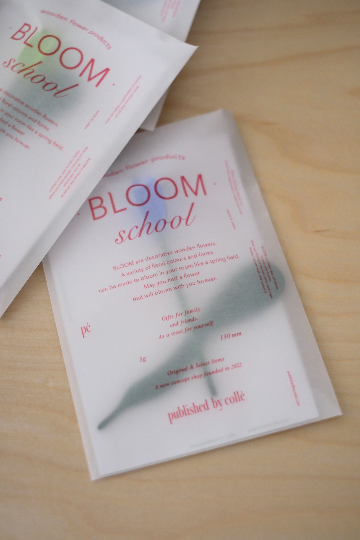 Bloom school