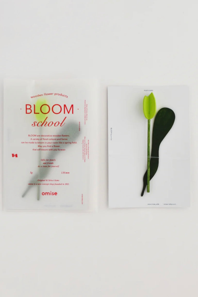 Bloom school