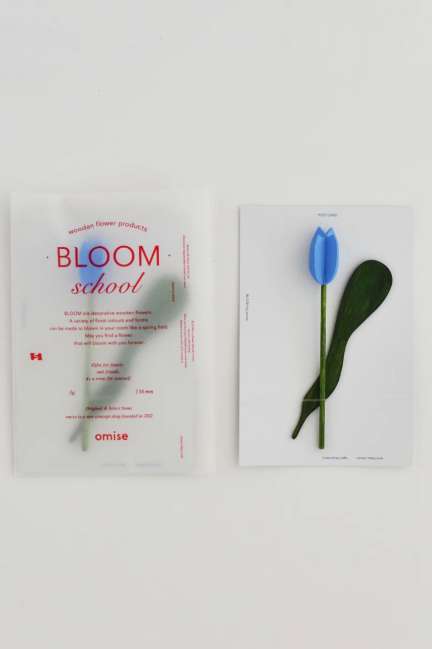 Bloom school