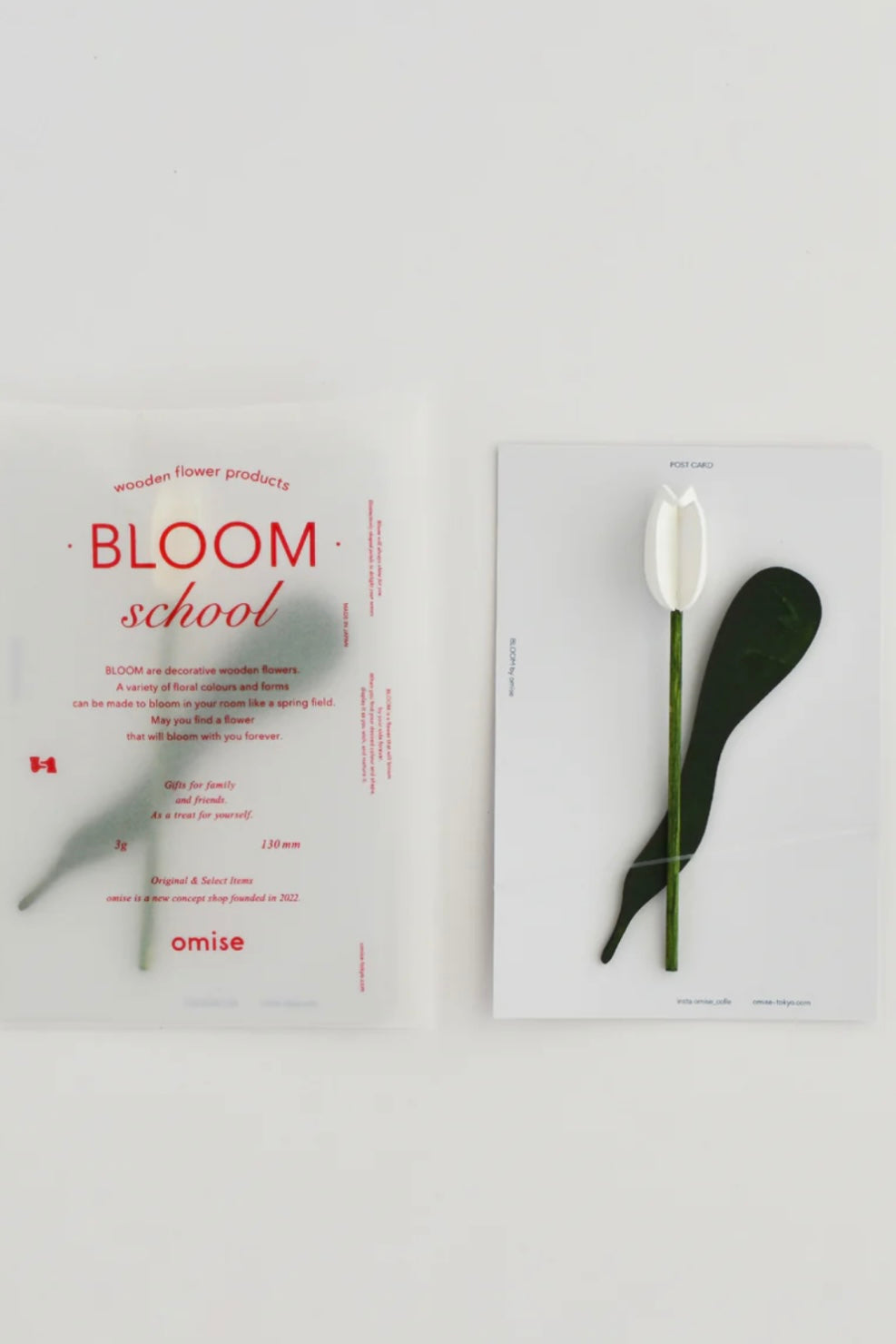 Bloom school
