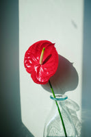 法國玻璃瓶La Soufflerie Vase Tête