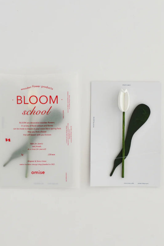 Bloom school