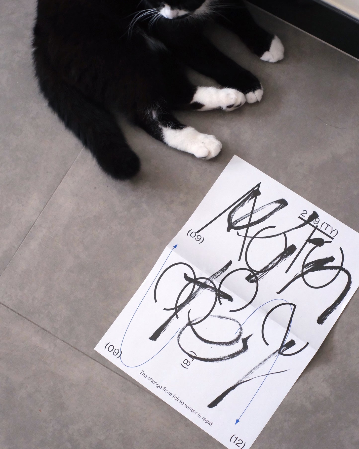 Graphic Report Vol.3